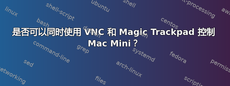 是否可以同时使用 VNC 和 Magic Trackpad 控制 Mac Mini？