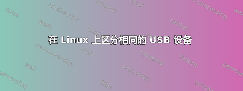 在 Linux 上区分相同的 USB 设备