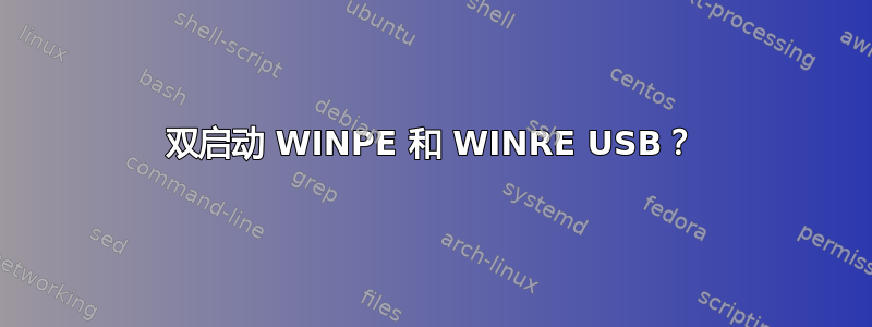 双启动 WINPE 和 WINRE USB？