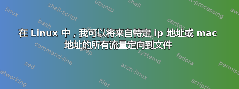 在 Linux 中，我可以将来自特定 ip 地址或 mac 地址的所有流量定向到文件