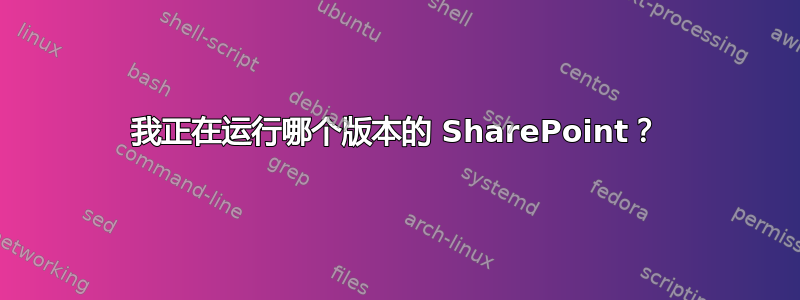 我正在运行哪个版本的 SharePoint？