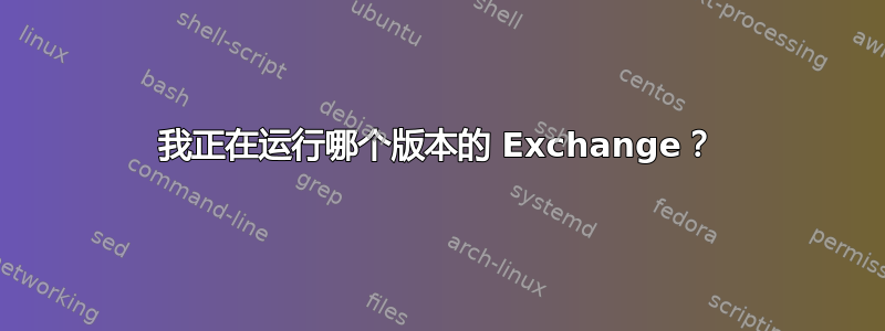 我正在运行哪个版本的 Exchange？