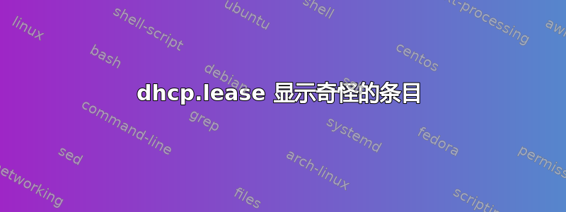 dhcp.lease 显示奇怪的条目