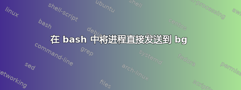 在 bash 中将进程直接发送到 bg