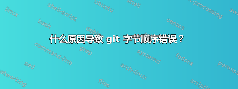 什么原因导致 git 字节顺序错误？