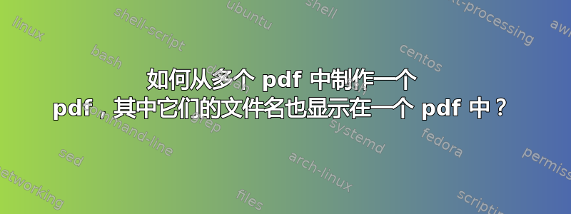 如何从多个 pdf 中制作一个 pdf，其中它们的文件名也显示在一个 pdf 中？