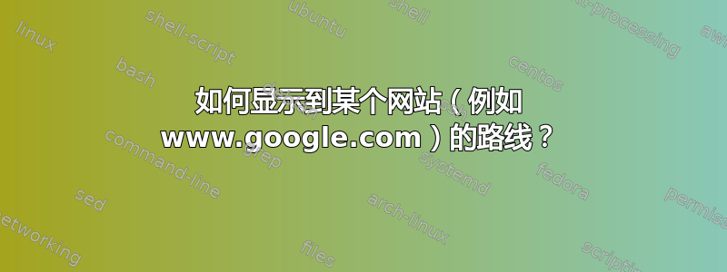 如何显示到某个网站（例如 www.google.com）的路线？