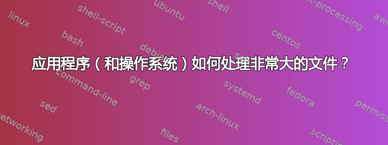 应用程序（和操作系统）如何处理非常大的文件？