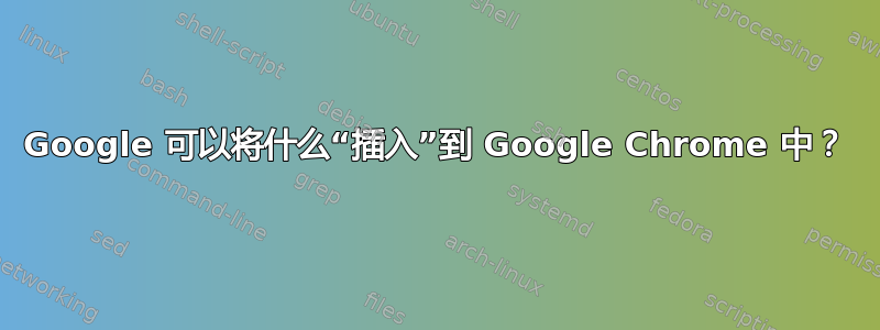 Google 可以将什么“插入”到 Google Chrome 中？