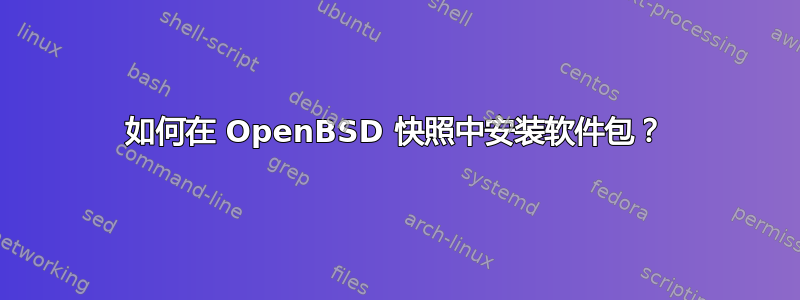 如何在 OpenBSD 快照中安装软件包？