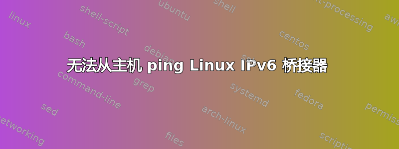 无法从主机 ping Linux IPv6 桥接器