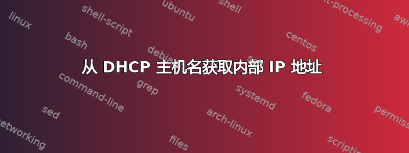 从 DHCP 主机名获取内部 IP 地址