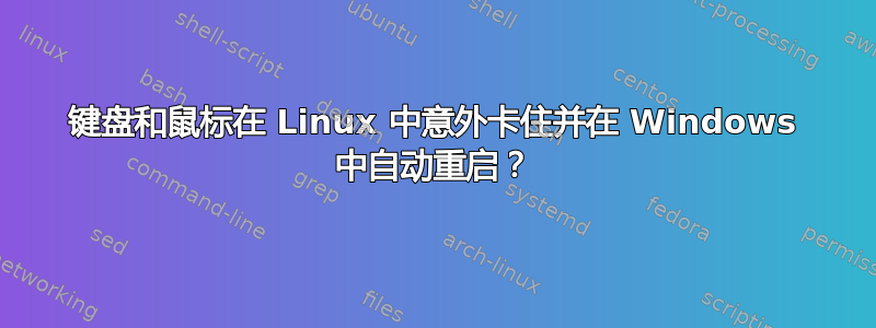 键盘和鼠标在 Linux 中意外卡住并在 Windows 中自动重启？