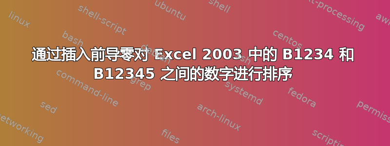 通过插入前导零对 Excel 2003 中的 B1234 和 B12345 之间的数字进行排序