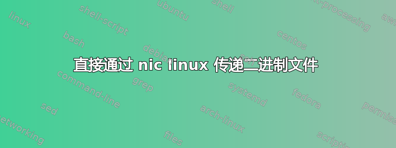 直接通过 nic linux 传递二进制文件