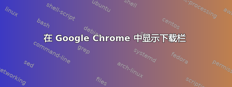 在 Google Chrome 中显示下载栏