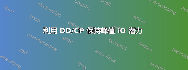 利用 DD/CP 保持峰值 IO 潜力