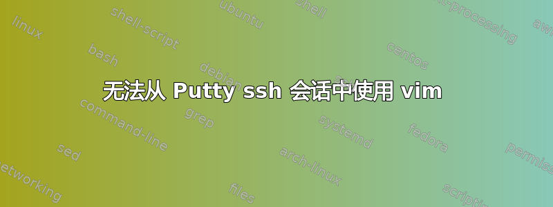 无法从 Putty ssh 会话中使用 vim