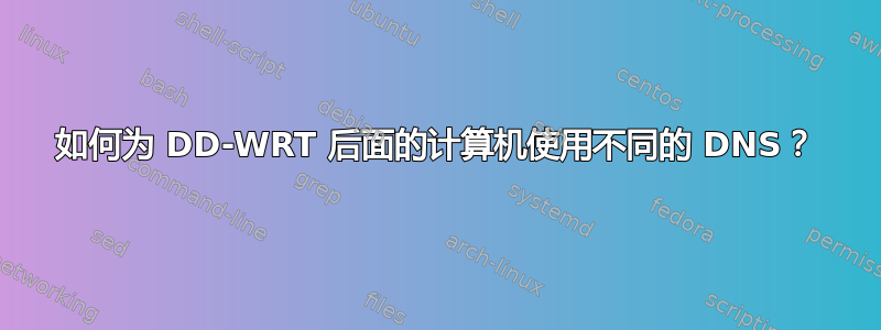 如何为 DD-WRT 后面的计算机使用不同的 DNS？