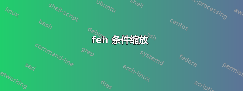 feh 条件缩放