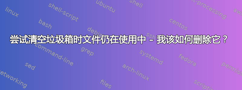 尝试清空垃圾箱时文件仍在使用中 – 我该如何删除它？