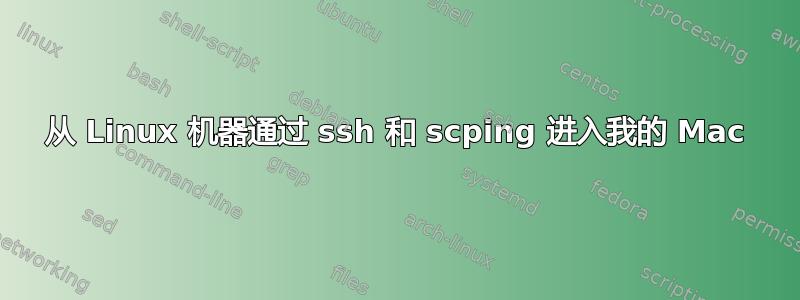 从 Linux 机器通过 ssh 和 scping 进入我的 Mac