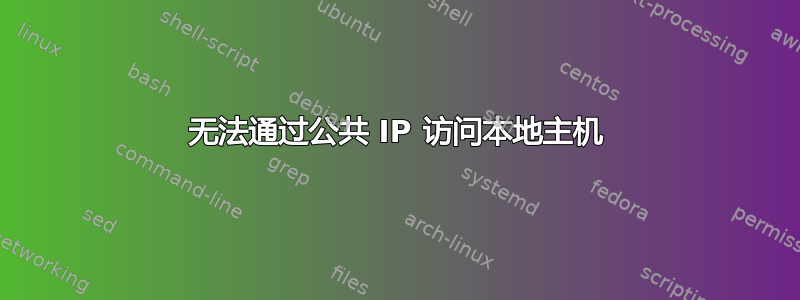 无法通过公共 IP 访问本地主机