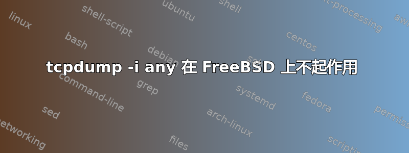 tcpdump -i any 在 FreeBSD 上不起作用