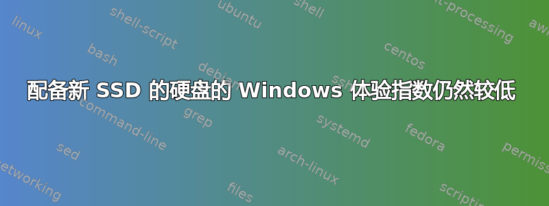 配备新 SSD 的硬盘的 Windows 体验指数仍然较低