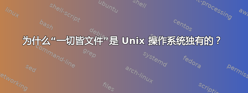 为什么“一切皆文件”是 Unix 操作系统独有的？