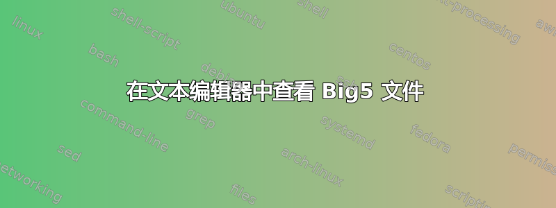 在文本编辑器中查看 Big5 文件