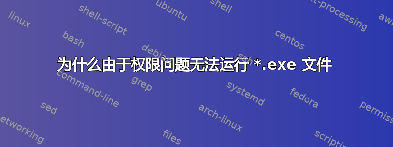 为什么由于权限问题无法运行 *.exe 文件