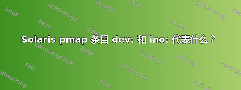 Solaris pmap 条目 dev: 和 ino: 代表什么？