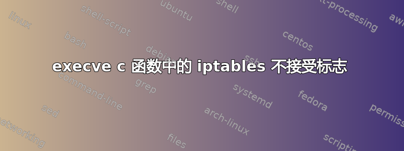 execve c 函数中的 iptables 不接受标志