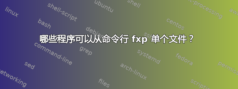 哪些程序可以从命令行 fxp 单个文件？