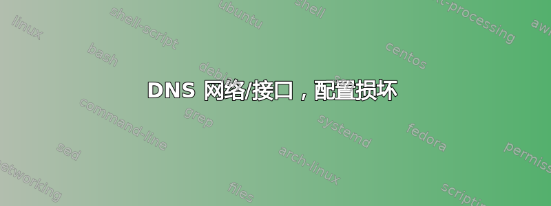 DNS 网络/接口，配置损坏