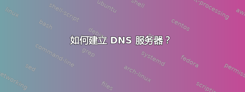 如何建立 DNS 服务器？