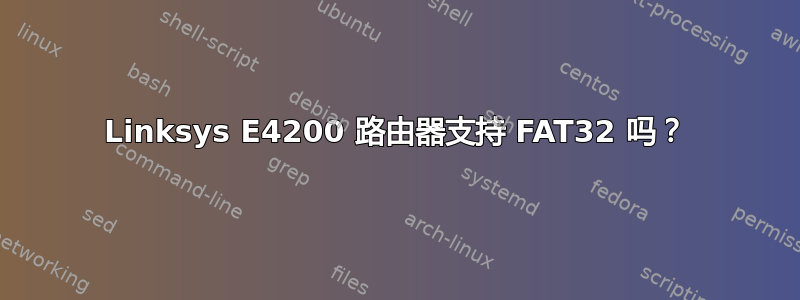 Linksys E4200 路由器支持 FAT32 吗？