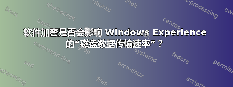 软件加密是否会影响 Windows Experience 的“磁盘数据传输速率”？