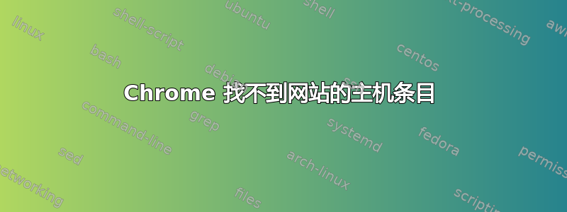 Chrome 找不到网站的主机条目