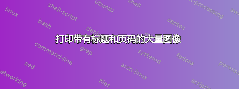 打印带有标题和页码的大量图像