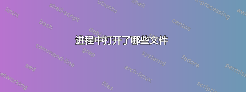 进程中打开了哪些文件