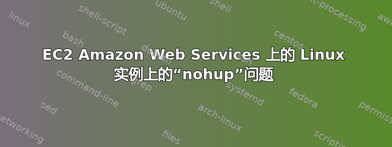 EC2 Amazon Web Services 上的 Linux 实例上的“nohup”问题