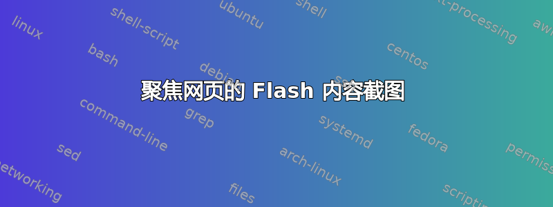 聚焦网页的 Flash 内容截图