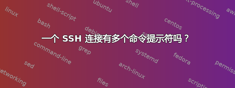 一个 SSH 连接有多个命令提示符吗？