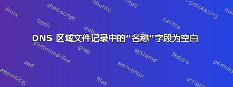 DNS 区域文件记录中的“名称”字段为空白