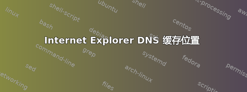 Internet Explorer DNS 缓存位置