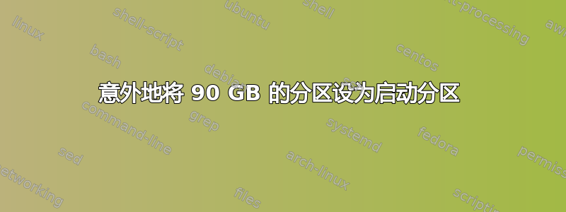 意外地将 90 GB 的分区设为启动分区