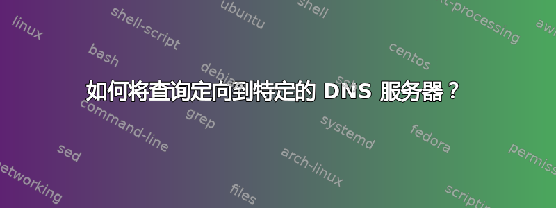 如何将查询定向到特定的 DNS 服务器？