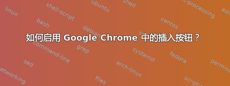 如何启用 Google Chrome 中的插入按钮？